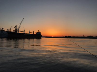 青物釣れないのでシーバス