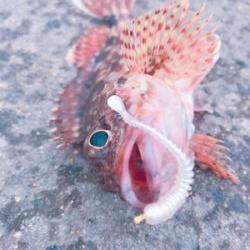 船仕掛けアレンジ