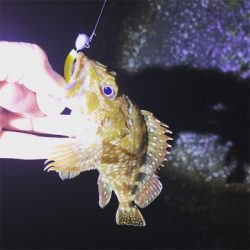 まだまだメバリング