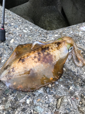 雨の日は空いてる(笑)