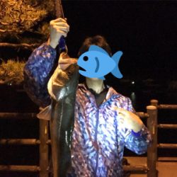 自己ベスト更新!