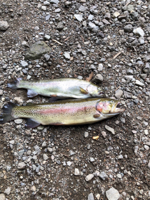 リヴァスポット早戸