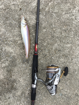 キスいた！！！！