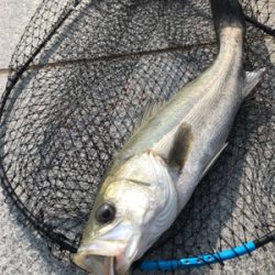 徹夜回避の朝から3本