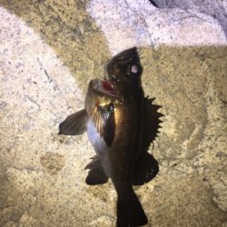 ライトゲーム！