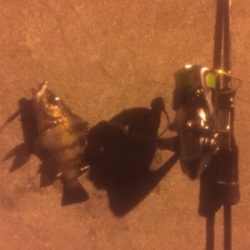 サイトバッチング