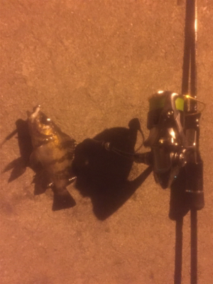 サイトバッチング