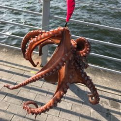 運良くキロアップ