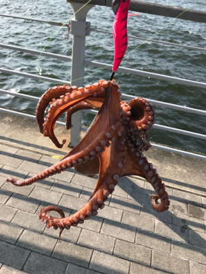 運良くキロアップ