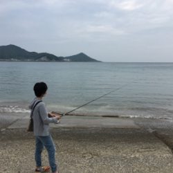 ガッチョ入れ食い!