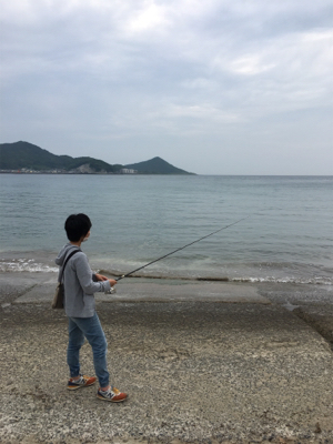 ガッチョ入れ食い!