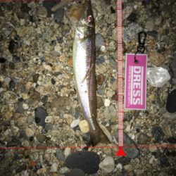 チョイ投げでキス