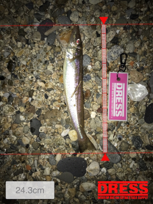 チョイ投げでキス