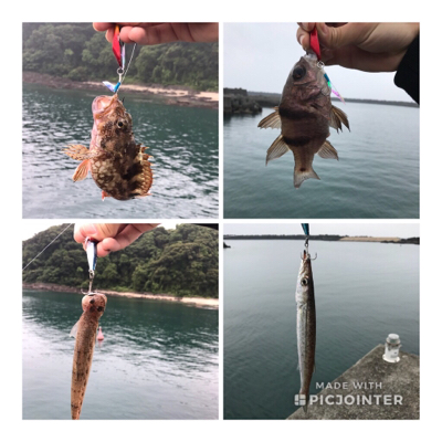 ヒラスズキゲット！