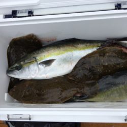 じゃのひれフィッシングパーク