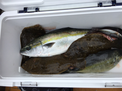 じゃのひれフィッシングパーク