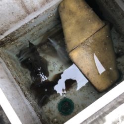 FP志摩 船エギング