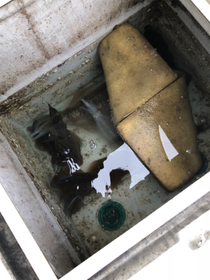 FP志摩 船エギング