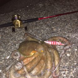 オクトパッシング