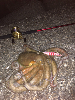 オクトパッシング