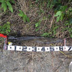 落ちパクでゲット