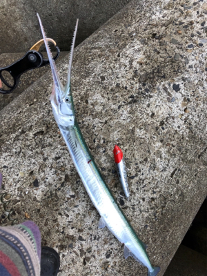 ヒラばらしてダツw