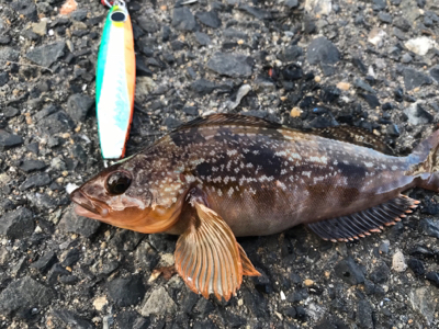 青物❌  →  足下…