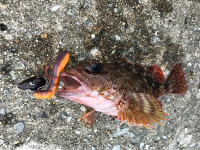 ちょっとの時間で