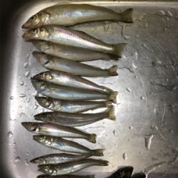 キスおいしい！！！！