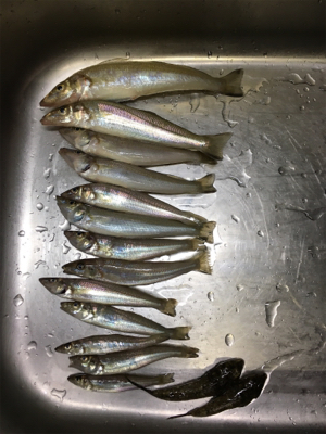 キスおいしい！！！！