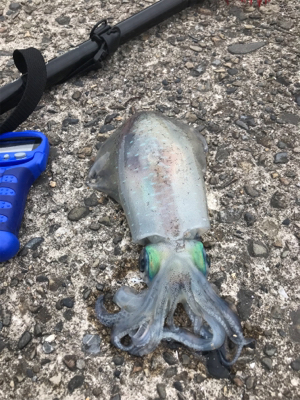 サミット反省会