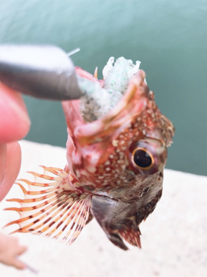 テキサスリグチャレンジ