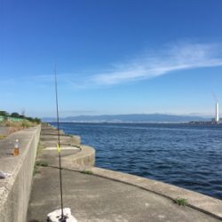 大阪湾ダブルヘッダー①