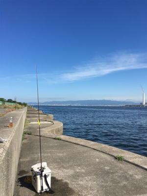 大阪湾ダブルヘッダー①