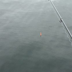 大阪湾ダブルヘッダー②