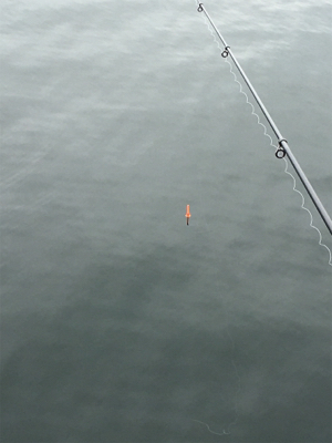 大阪湾ダブルヘッダー②