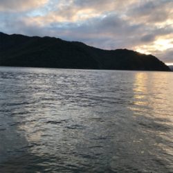 ファミリーフィッシング