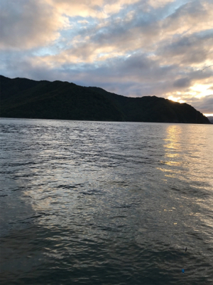 ファミリーフィッシング