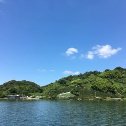 子どもに優しい桜池