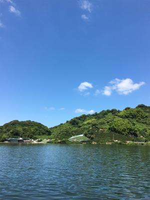 子どもに優しい桜池