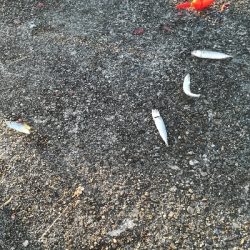 食品コンビナート