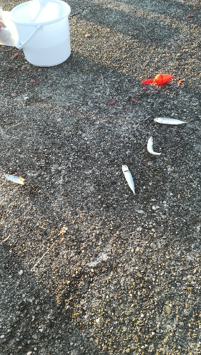 食品コンビナート