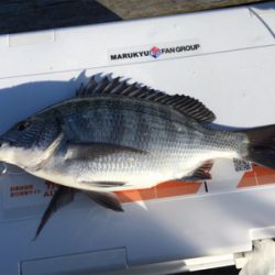 夕方まで粘ってやっと