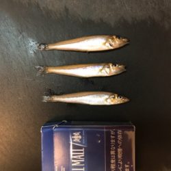 神戸東側ではまだ早い？！