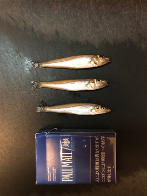 神戸東側ではまだ早い？！