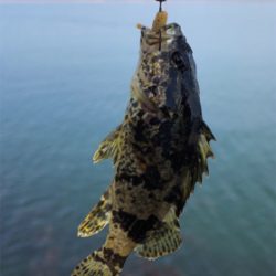 チビタケノコ釣り