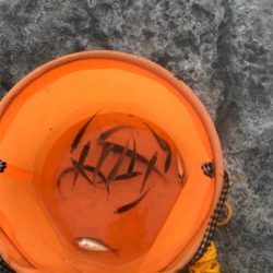 細いんですが…