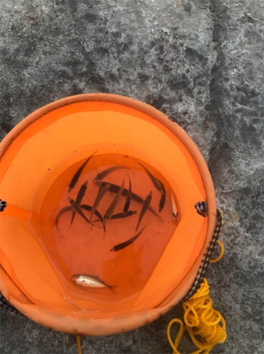 細いんですが…