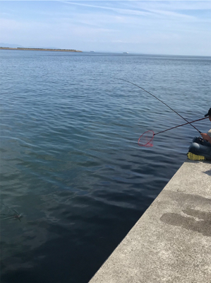 わいわいエギング