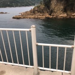 フカセ釣り サバとグレ